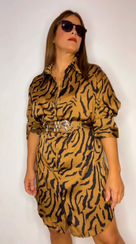 Chelsie Shirt Dress