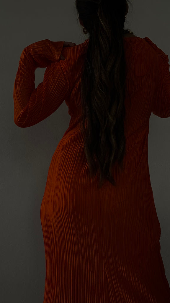 Pumpion Pleated Dress